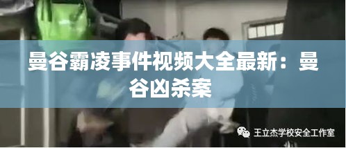 曼谷霸凌事件视频大全最新：曼谷凶杀案 