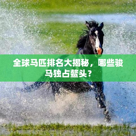 全球马匹排名大揭秘，哪些骏马独占鳌头？