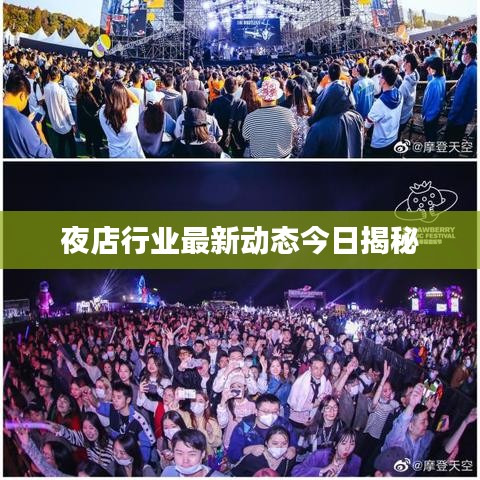 夜店行业最新动态今日揭秘