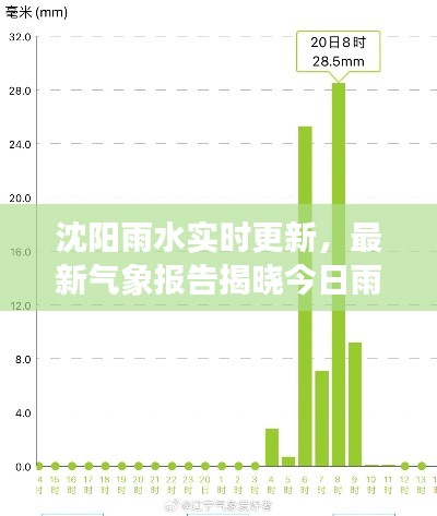 沈阳雨水实时更新，最新气象报告揭晓今日雨情分析