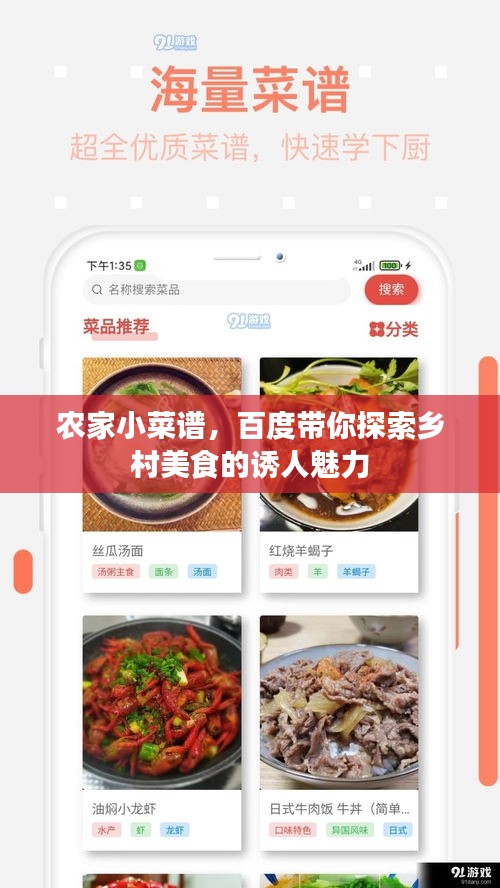 农家小菜谱，百度带你探索乡村美食的诱人魅力