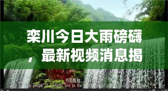 目不转睛 第3页