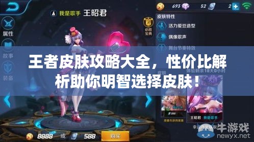 王者皮肤攻略大全，性价比解析助你明智选择皮肤！