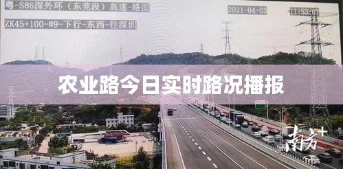 农业路今日实时路况播报