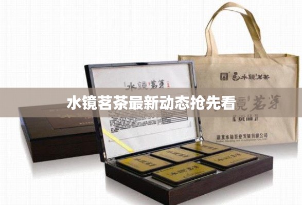水镜茗茶最新动态抢先看
