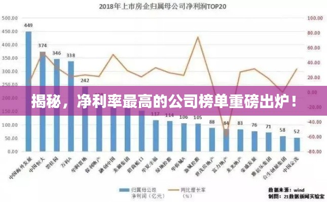 揭秘，净利率最高的公司榜单重磅出炉！