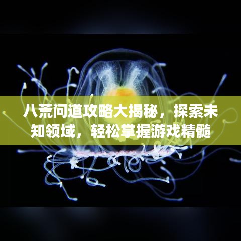 八荒问道攻略大揭秘，探索未知领域，轻松掌握游戏精髓