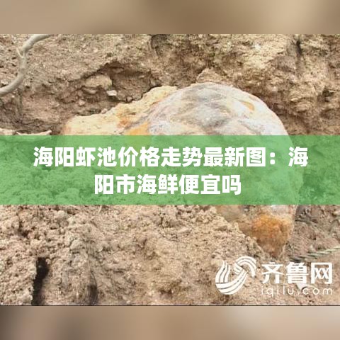 海阳虾池价格走势最新图：海阳市海鲜便宜吗 
