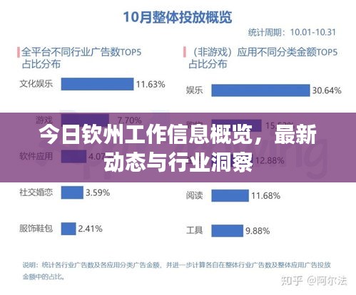 今日钦州工作信息概览，最新动态与行业洞察