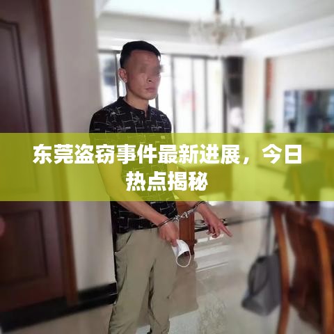 东莞盗窃事件最新进展，今日热点揭秘