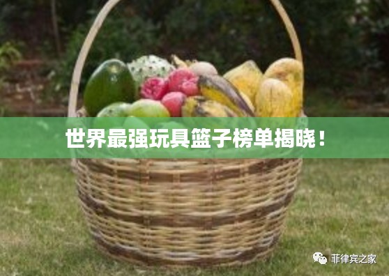 世界最强玩具篮子榜单揭晓！