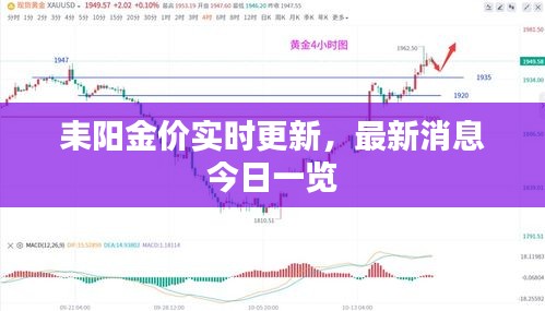 耒阳金价实时更新，最新消息今日一览