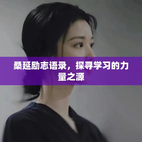 鸟穷则啄 第3页