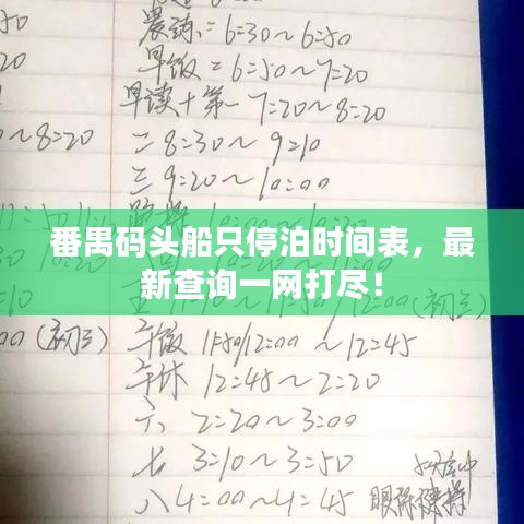 番禺码头船只停泊时间表，最新查询一网打尽！