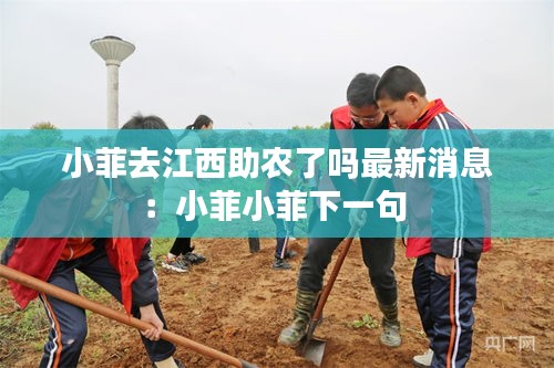 小菲去江西助农了吗最新消息：小菲小菲下一句 