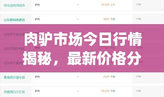 肉驴市场今日行情揭秘，最新价格分析与趋势预测