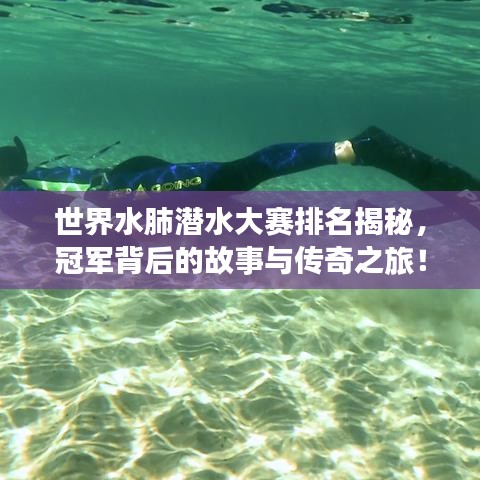 飞奇钩货 第2页