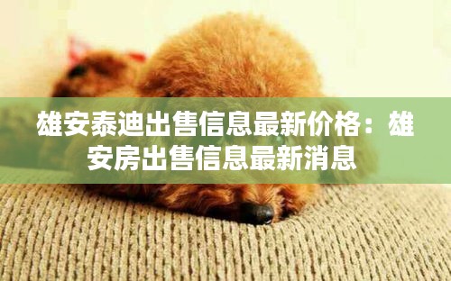 雄安泰迪出售信息最新价格：雄安房出售信息最新消息 