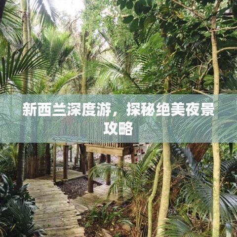 新西兰深度游，探秘绝美夜景攻略