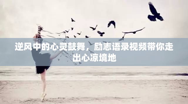 逆风中的心灵鼓舞，励志语录视频带你走出心凉境地