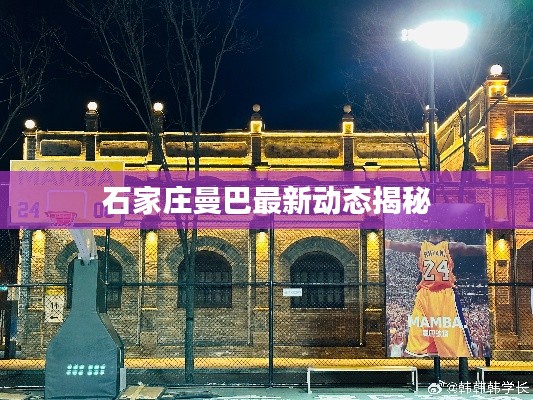 石家庄曼巴最新动态揭秘