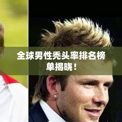 张袂成阴 第2页