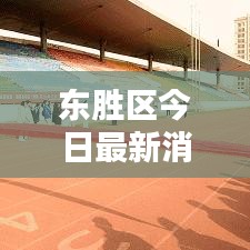 东胜区今日最新消息速递