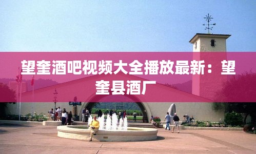 望奎酒吧视频大全播放最新：望奎县酒厂 