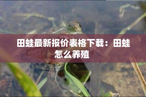 田蛙最新报价表格下载：田蛙怎么养殖 