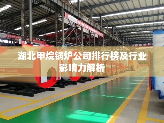 湖北甲烷锅炉公司排行榜及行业影响力解析
