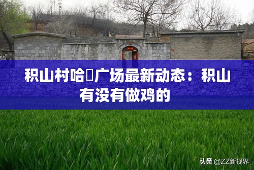 积山村哈啰广场最新动态：积山有没有做鸡的 