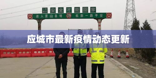 应城市最新疫情动态更新