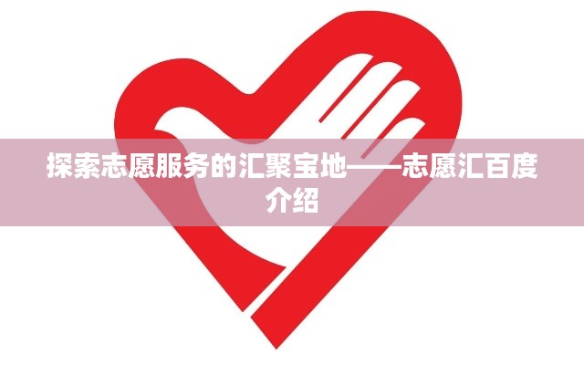 探索志愿服务的汇聚宝地——志愿汇百度介绍