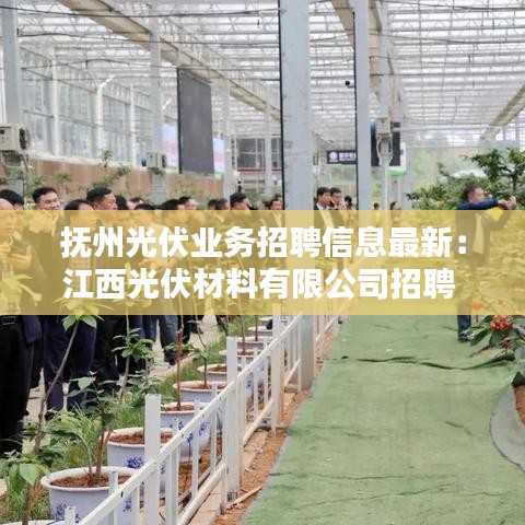 抚州光伏业务招聘信息最新：江西光伏材料有限公司招聘 