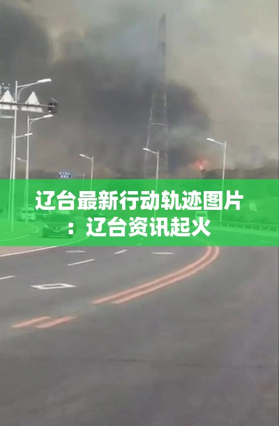 辽台最新行动轨迹图片：辽台资讯起火 
