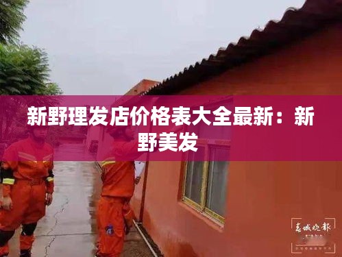 新野理发店价格表大全最新：新野美发 