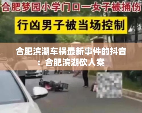 合肥滨湖车祸最新事件的抖音：合肥滨湖砍人案 