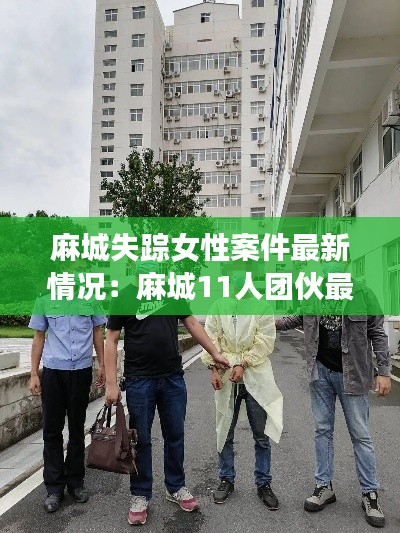麻城失踪女性案件最新情况：麻城11人团伙最新进展 