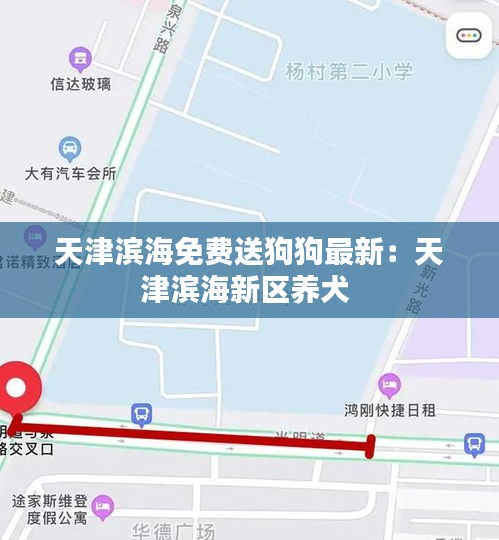 天津滨海免费送狗狗最新：天津滨海新区养犬 