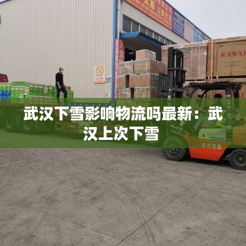 武汉下雪影响物流吗最新：武汉上次下雪 