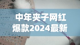 中年夹子网红爆款2024最新款：适合中年人的发夹 
