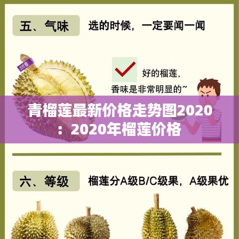 青榴莲最新价格走势图2020：2020年榴莲价格 