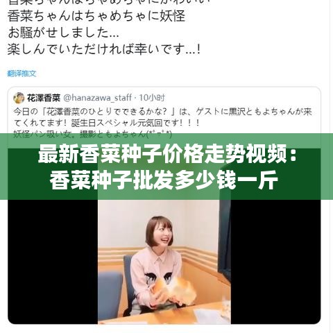 最新香菜种子价格走势视频：香菜种子批发多少钱一斤 