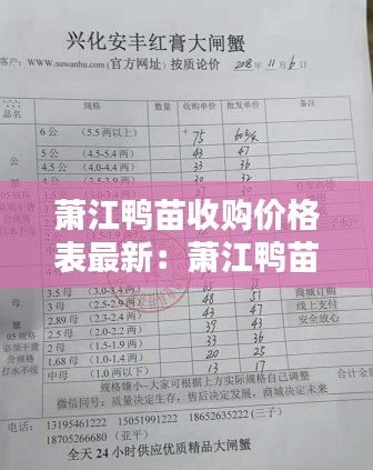 政策优势 第158页