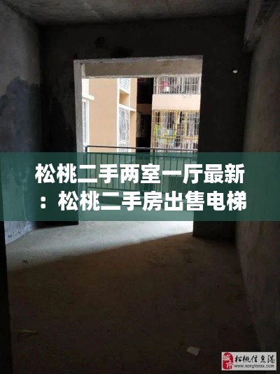 松桃二手两室一厅最新：松桃二手房出售电梯房 