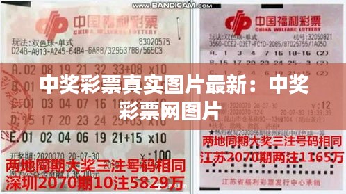 中奖彩票真实图片最新：中奖彩票网图片 