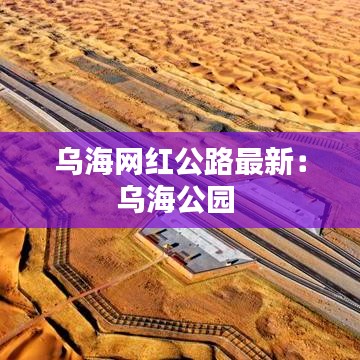 漫天飞舞 第2页