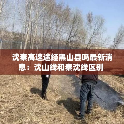 天生丽质 第2页