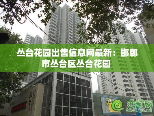 丛台花园出售信息网最新：邯郸市丛台区丛台花园 