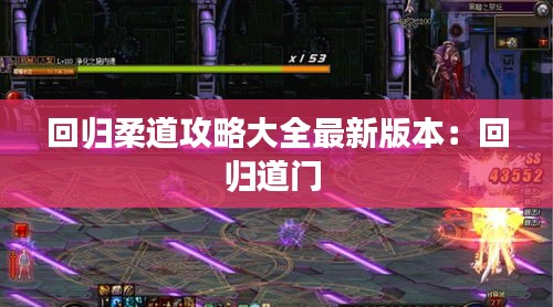 回归柔道攻略大全最新版本：回归道门 
